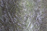 Cold Overton fibreglass roof work